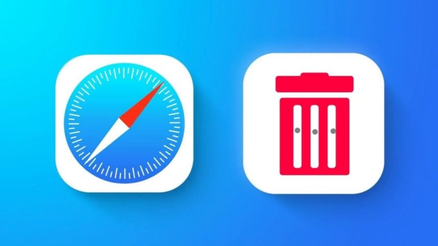 Safaride girilen site geçmişi temizleme