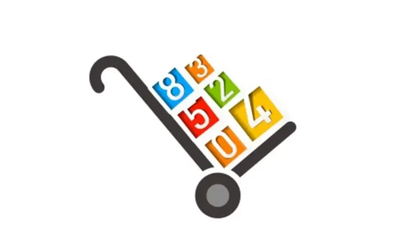 Numara Taşıma Sorgulaması