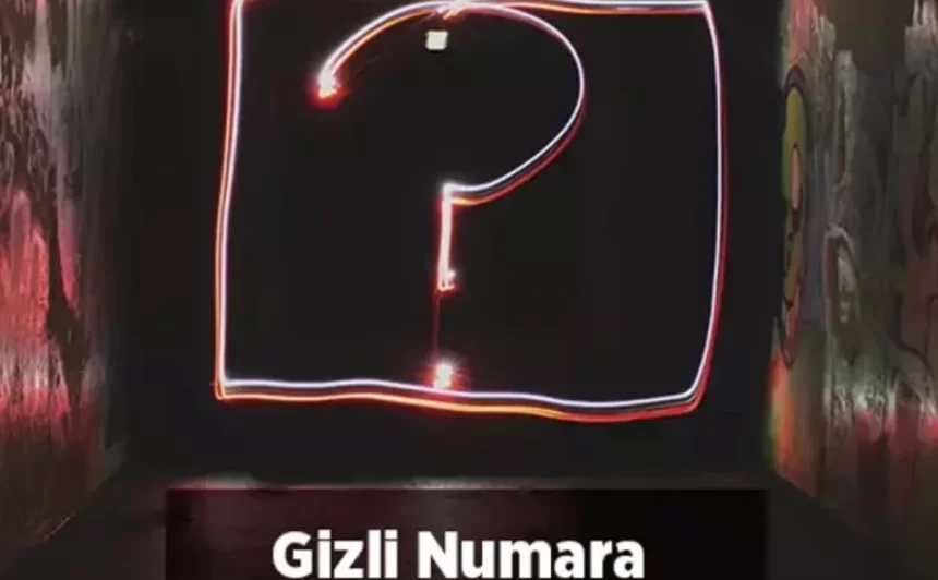 Özel numarayı arama
