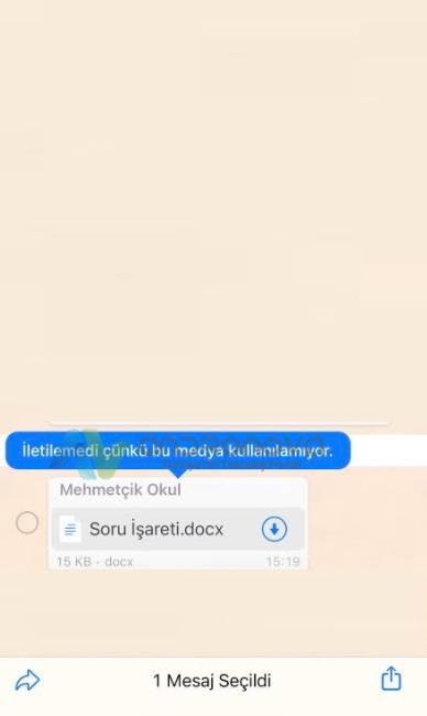 WhatsApp iletilemedi çünkü bu medya kullanılamıyor