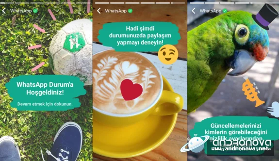 WhatsApp durumuma bakanlar gözükmüyor
