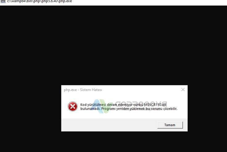 Wampserver msvcr100.dll bulunamadı hatası