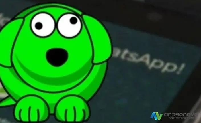 WhatsApp Tekrar Dene Hatası
