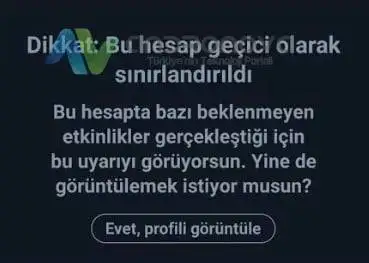 Twitter bu hesap geçici olarak sınırlandırıldı ne demek