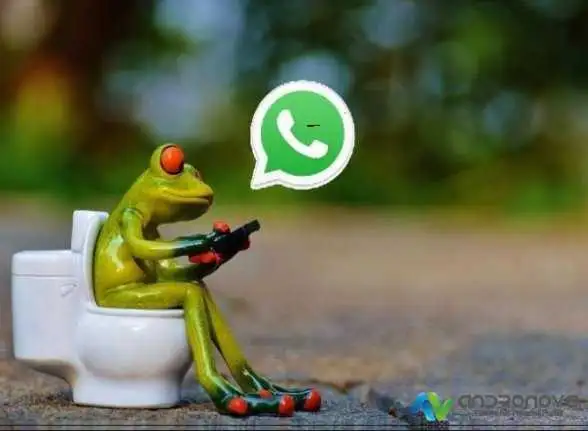 WhatsApp Özel Olarak Yanıtla ne demek