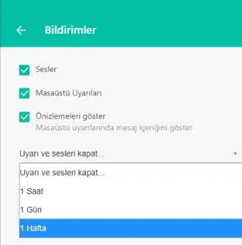 WhatsApp bildirimleri engelleme