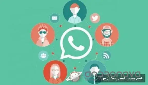 WhatsApp Grup Mesajlarını Kimler Gördü