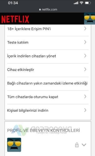 Netflix profil kilidi kaldırma