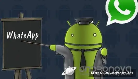 WhatsApp Hata Kodu