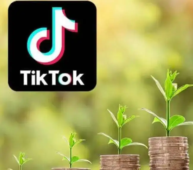 TikTok işleme koyulamadı sorunu