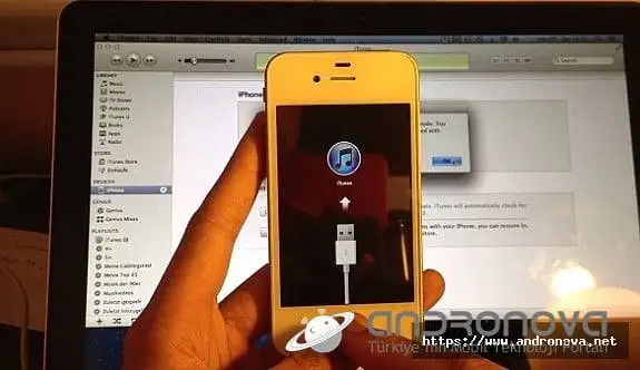 iPhone için Doğru ipsw Dosyasını İndirme