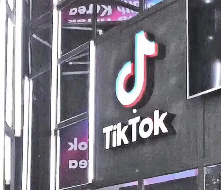 TikTok askıya alındı nasıl çözerim?