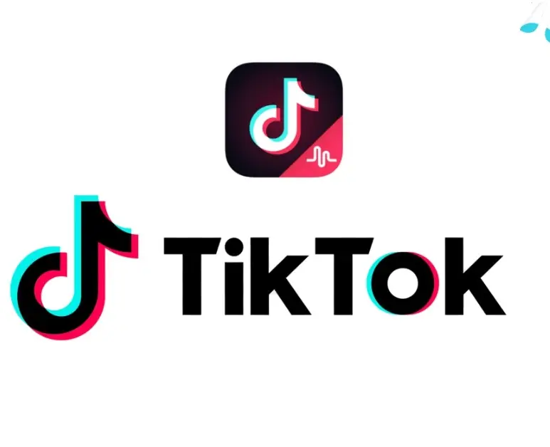 TikTok tanıtım onaylanmadı hatası