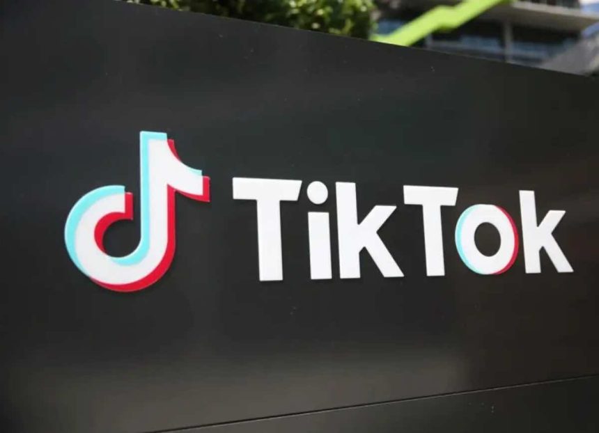 TikTok takipçi gizleme