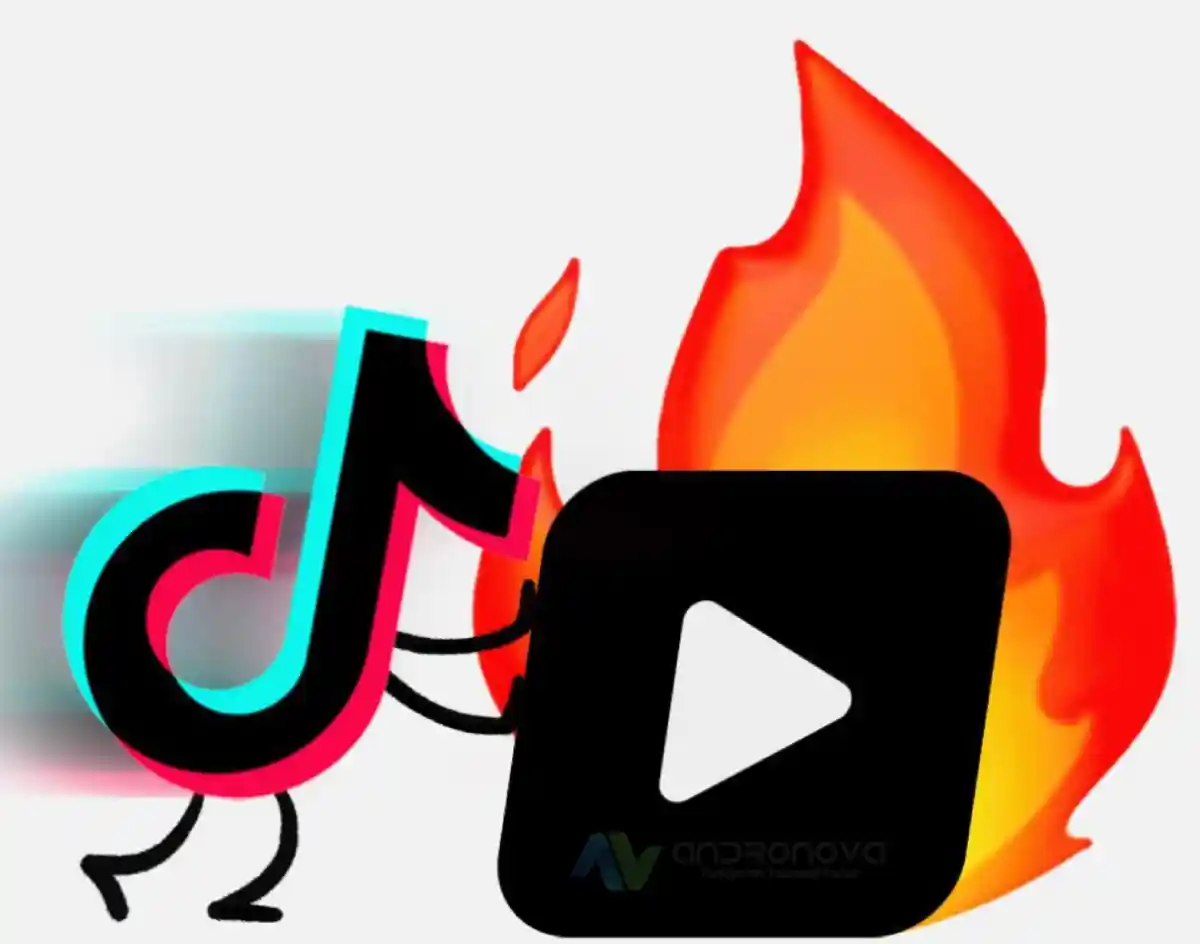 TikTok numara değiştirdim hesabıma giremiyorum