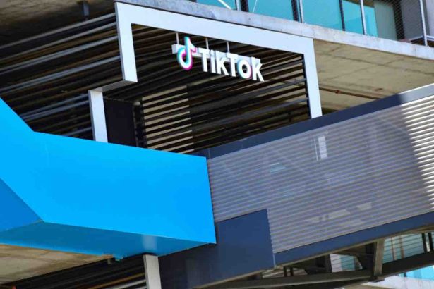 TikTok Video Oynatılamadı hatası