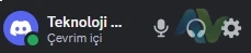 Discord ses gitmiyor 1