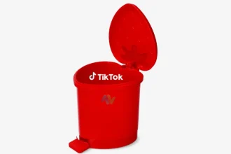 TikTok hesabınız kalıcı olarak engellendi