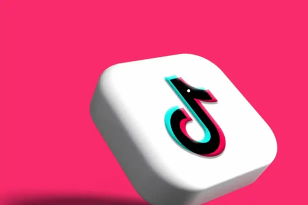 TikTok hesap bulunamadı çözümü