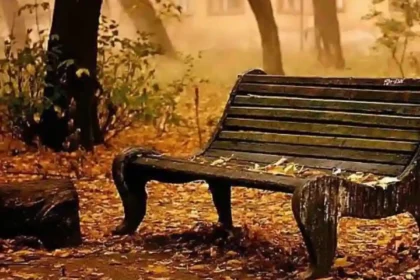 filmde çalan şarkıyı bulma uygulaması