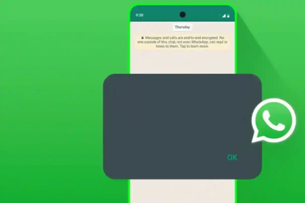 WhatsApp mesaj gönderilemedi ne demek