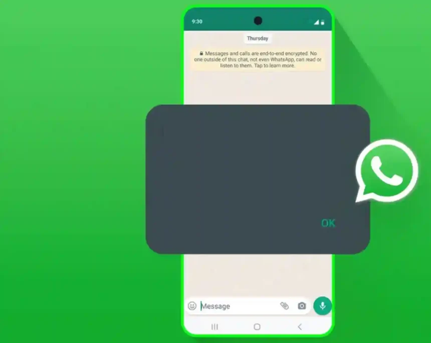 WhatsApp mesaj gönderilemedi ne demek