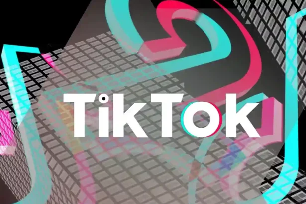 Telefondan TikTok video indirme